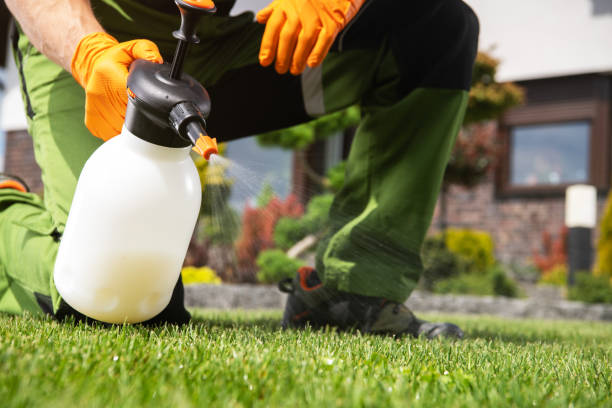 Bird Control in Lehigh Acres, FL