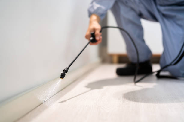 Flea Control Services in Lehigh Acres, FL