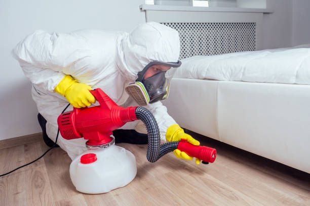 Best Best Pest Control Companies  in Lehigh Acres, FL